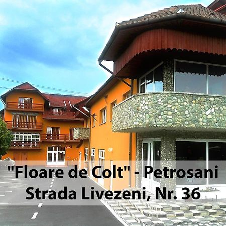 Hotel Floare De Colt Petroşani Esterno foto