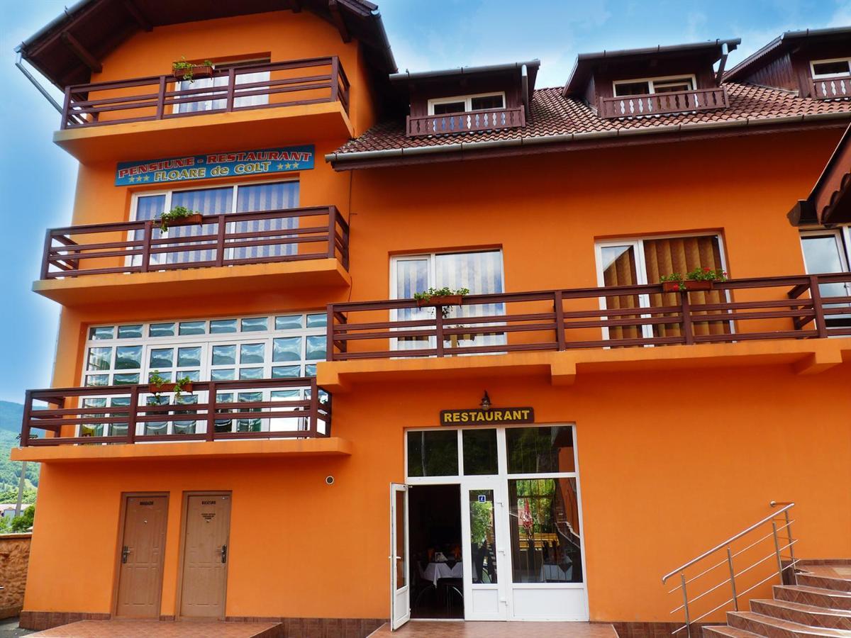 Hotel Floare De Colt Petroşani Esterno foto
