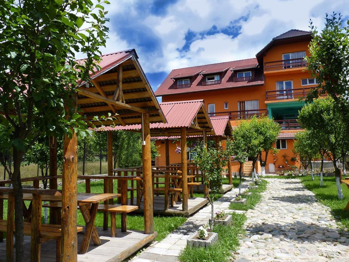 Hotel Floare De Colt Petroşani Esterno foto