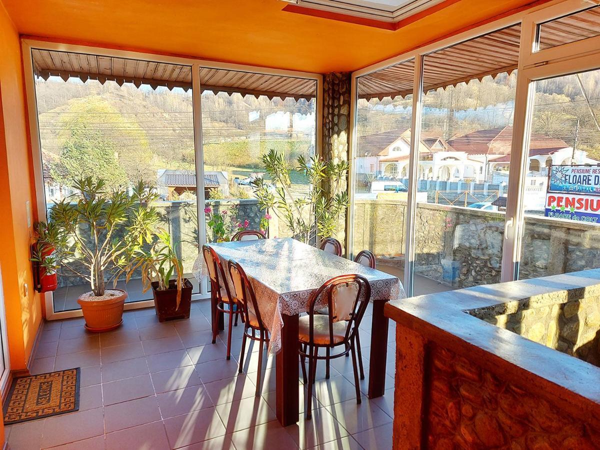 Hotel Floare De Colt Petroşani Esterno foto