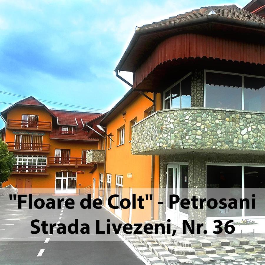Hotel Floare De Colt Petroşani Esterno foto